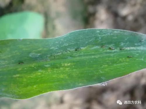 ���הQ����ô�k����ץ�o��Q��(hu��)Ӱ푮a(ch��n)��!!!